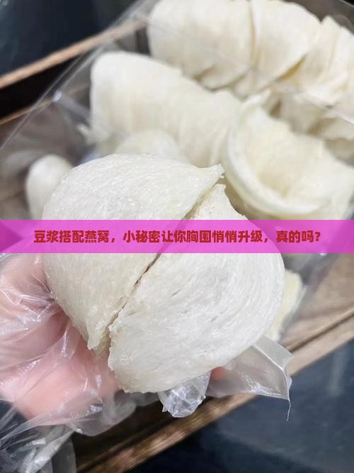 豆浆搭配燕窝，小秘密让你胸围悄悄升级，真的吗？