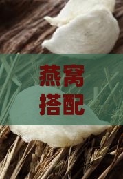 燕窝搭配什么食材一起炖制？