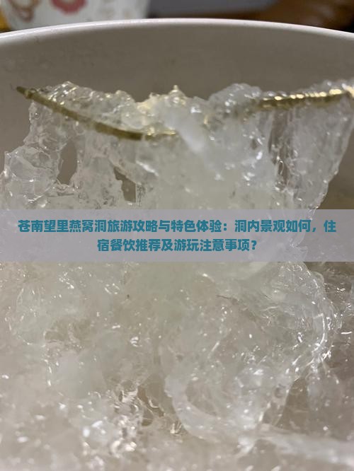 苍南望里燕窝洞旅游攻略与特色体验：洞内景观如何，住宿餐饮推荐及游玩注意事项？