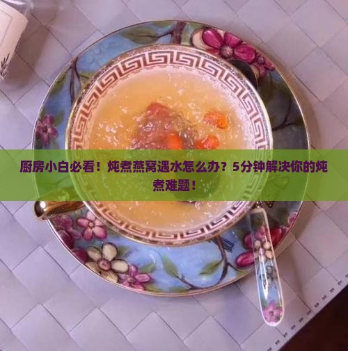 厨房小白必看！炖煮燕窝遇水怎么办？5分钟解决你的炖煮难题！