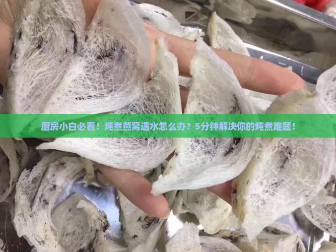 厨房小白必看！炖煮燕窝遇水怎么办？5分钟解决你的炖煮难题！