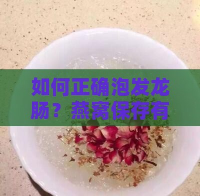 如何正确泡发龙肠？燕窝保存有哪些方法？