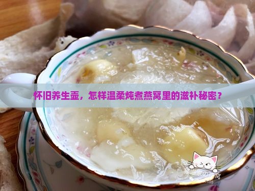 怀旧养生壶，怎样温柔炖煮燕窝里的滋补秘密？