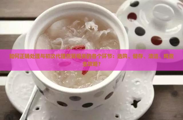 如何正确处理与初次代理燕窝相关的各个环节：选购、储存、清洁、炖煮全攻略？