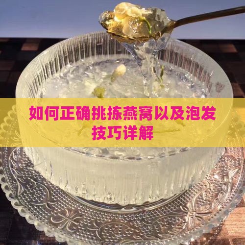 如何正确挑拣燕窝以及泡发技巧详解