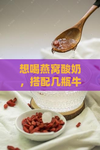 想喝燕窝酸奶，搭配几瓶牛奶才完美？