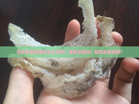 燕窝带盖玻璃杯怎么保存？能放冰箱吗？如何避免破损？