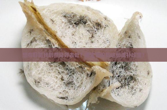 想在盱眙找到燕窝好去处？哪里能挖到这份滋补珍宝？