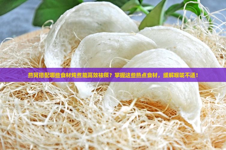 燕窝搭配哪些食材炖煮能高效祛痰？掌握这些热点食材，缓解喉咙不适！