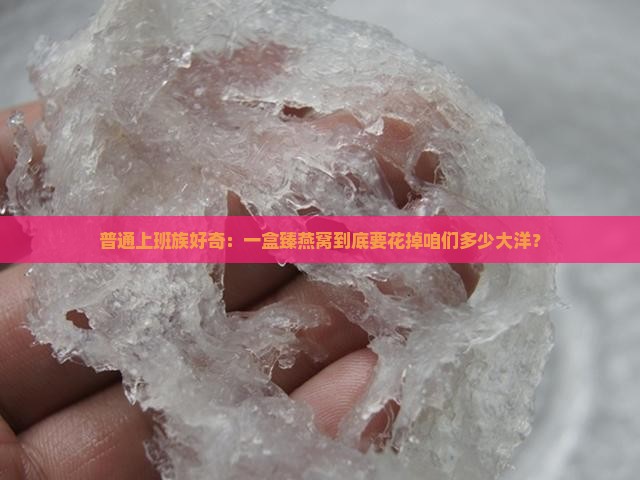 普通上班族好奇：一盒臻燕窝到底要花掉咱们多少大洋？