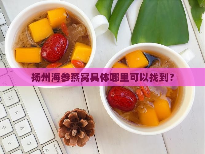 扬州海参燕窝具体哪里可以找到？