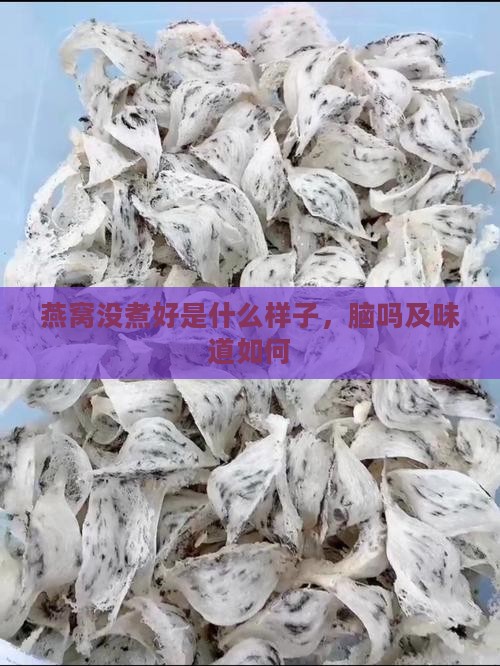 燕窝没煮好是什么样子，脑吗及味道如何