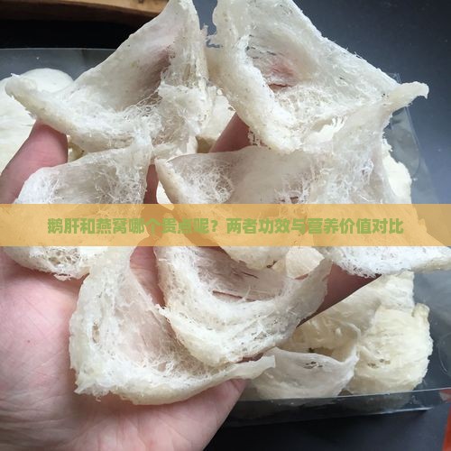 鹅肝和燕窝哪个贵点呢？两者功效与营养价值对比