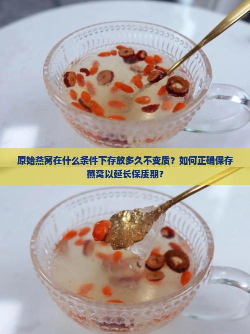原始燕窝在什么条件下存放多久不变质？如何正确保存燕窝以延长保质期？