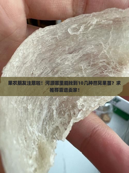 果农朋友注意啦！河源哪里能找到10几种燕窝果苗？求推荐靠谱卖家！