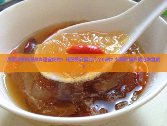 燕窝泡发时间多久适宜炖煮？炖燕窝前需泡几个小时？如何判断燕窝泡发程度？
