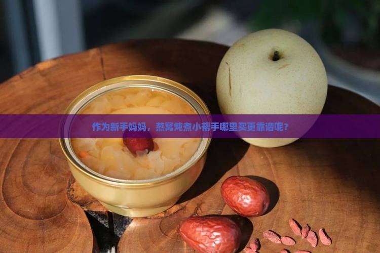 作为新手妈妈，燕窝炖煮小帮手哪里买更靠谱呢？