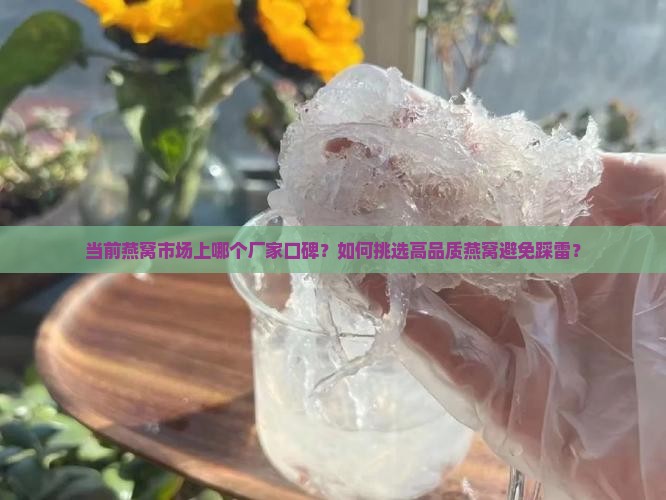 当前燕窝市场上哪个厂家口碑？如何挑选高品质燕窝避免踩雷？