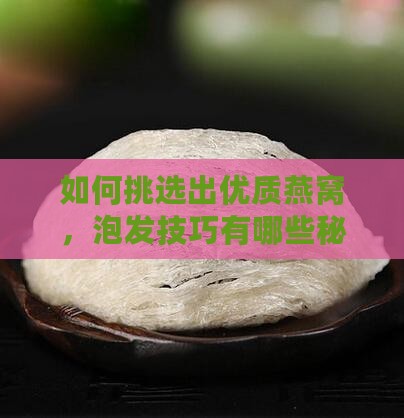如何挑选出优质燕窝，泡发技巧有哪些秘诀？