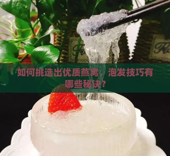 如何挑选出优质燕窝，泡发技巧有哪些秘诀？