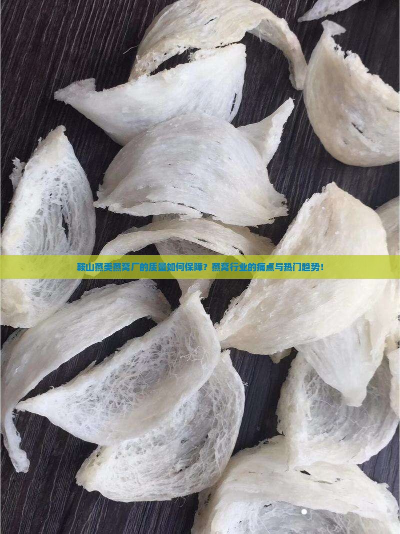 鞍山燕美燕窝厂的质量如何保障？燕窝行业的痛点与热门趋势！