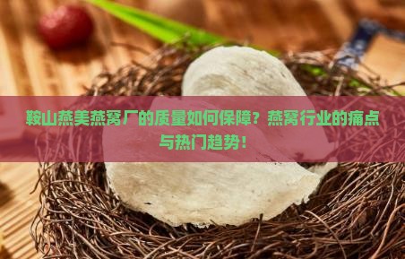 鞍山燕美燕窝厂的质量如何保障？燕窝行业的痛点与热门趋势！