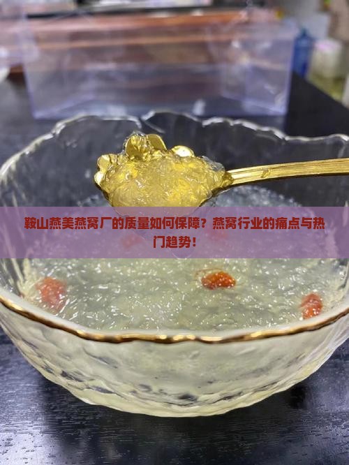 鞍山燕美燕窝厂的质量如何保障？燕窝行业的痛点与热门趋势！