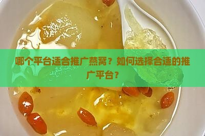 哪个平台适合推广燕窝？如何选择合适的推广平台？