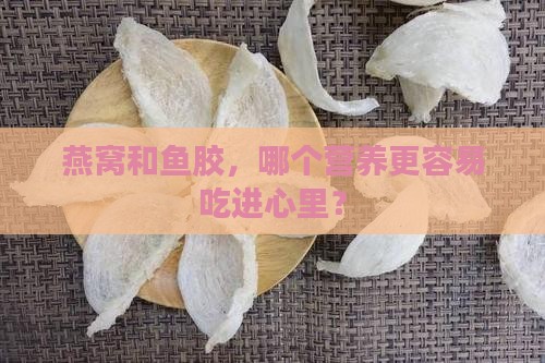 燕窝和鱼胶，哪个营养更容易吃进心里？