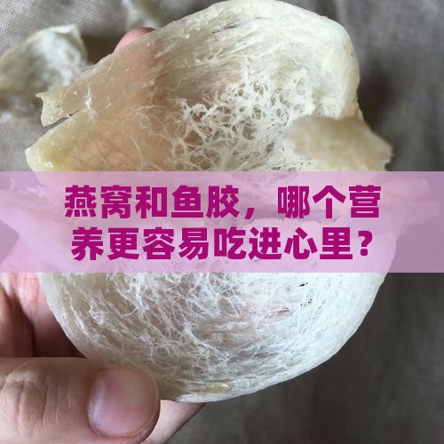 燕窝和鱼胶，哪个营养更容易吃进心里？