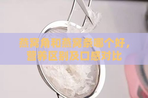 燕窝角和燕窝条哪个好，营养区别及口感对比