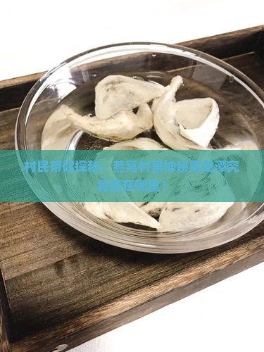 村民带你探秘：燕窝村里神秘黑龙潭究竟藏在哪里？