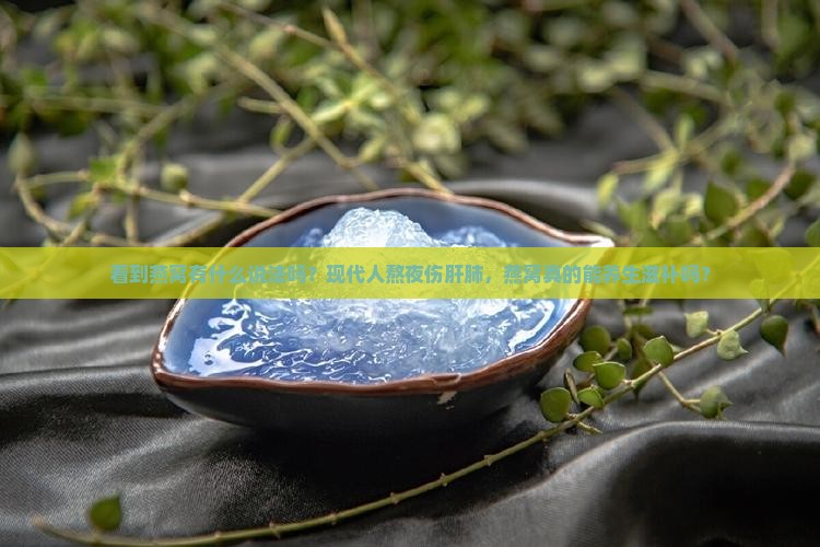 看到燕窝有什么说法吗？现代人熬夜伤肝肺，燕窝真的能养生滋补吗？