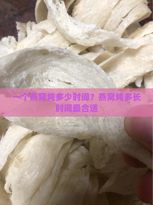 一个燕窝炖多少时间？燕窝炖多长时间最合适