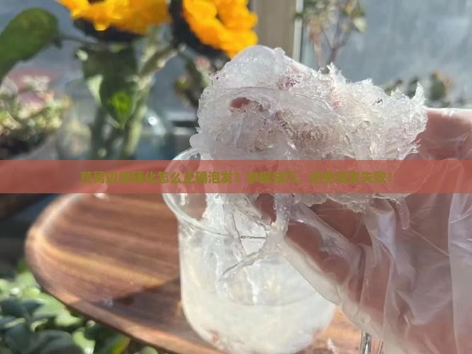 燕窝边缘硬化怎么正确泡发？掌握技巧，避免泡发失败！