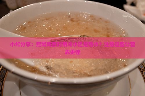 小红分享：燕窝炖煮时用冷水还是热水？注意这些让营养更佳