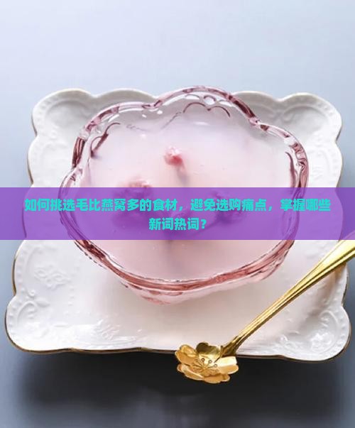 如何挑选毛比燕窝多的食材，避免选购痛点，掌握哪些新词热词？