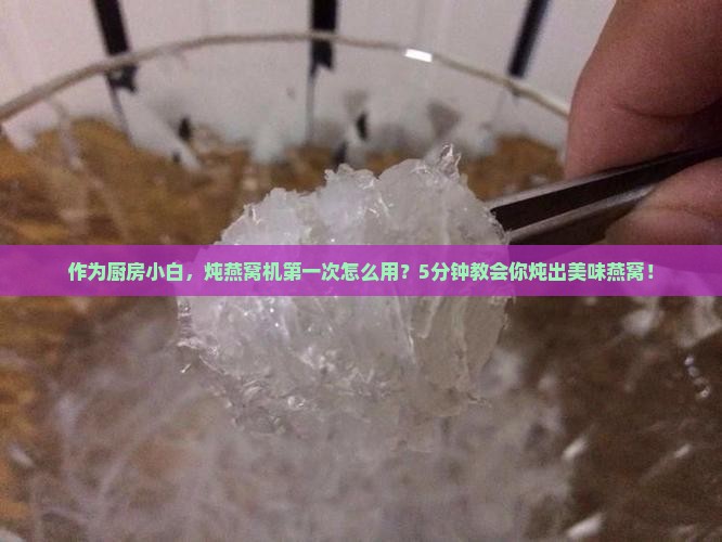 作为厨房小白，炖燕窝机第一次怎么用？5分钟教会你炖出美味燕窝！