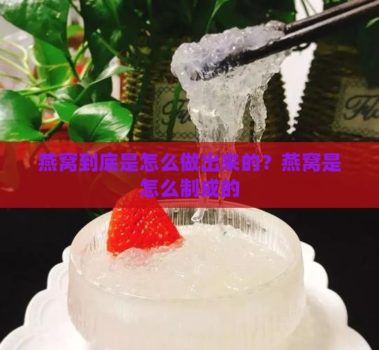 燕窝到底是怎么做出来的？燕窝是怎么制成的