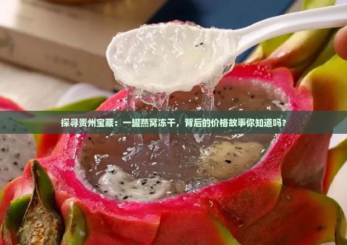 探寻贵州宝藏：一罐燕窝冻干，背后的价格故事你知道吗？