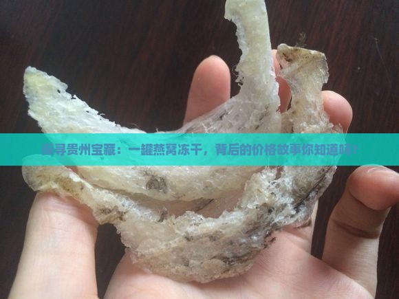 探寻贵州宝藏：一罐燕窝冻干，背后的价格故事你知道吗？