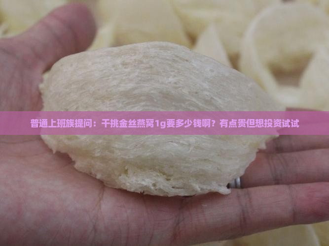 普通上班族提问：干挑金丝燕窝1g要多少钱啊？有点贵但想投资试试