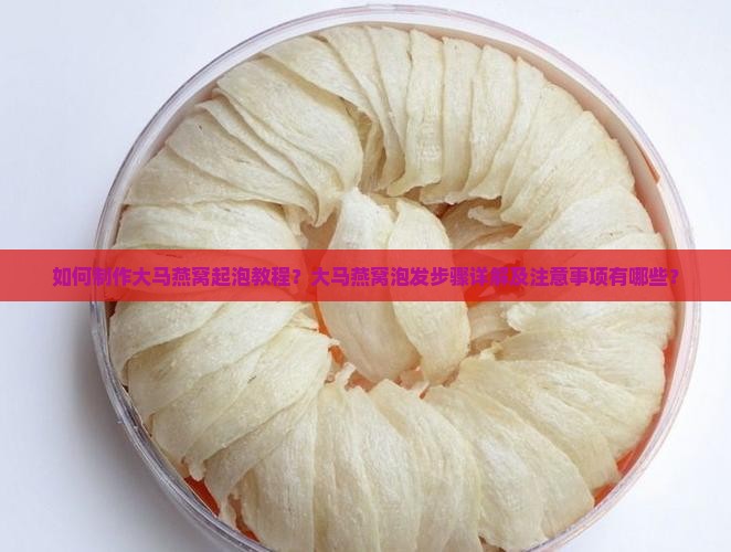 如何制作大马燕窝起泡教程？大马燕窝泡发步骤详解及注意事项有哪些？