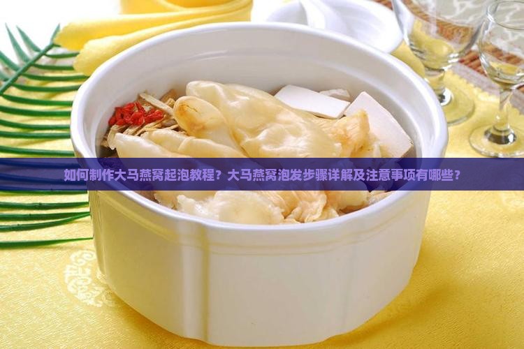 如何制作大马燕窝起泡教程？大马燕窝泡发步骤详解及注意事项有哪些？