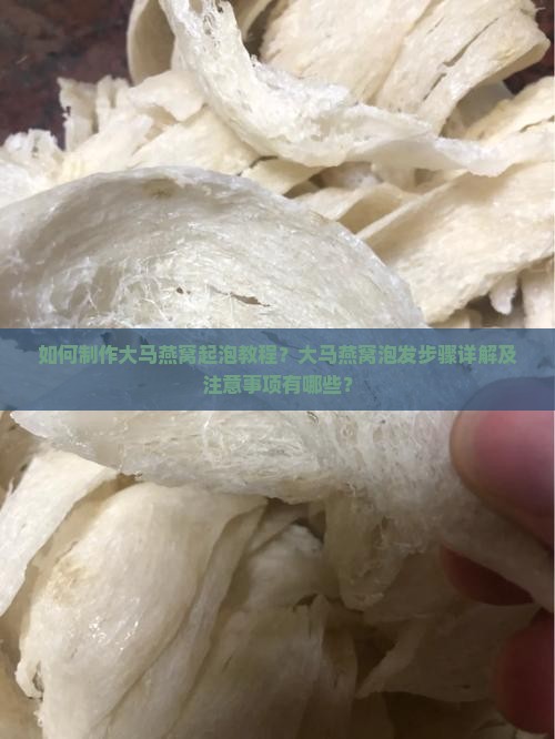 如何制作大马燕窝起泡教程？大马燕窝泡发步骤详解及注意事项有哪些？