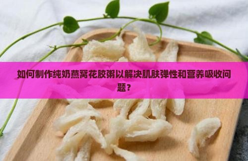 如何制作纯奶燕窝花胶粥以解决肌肤弹性和营养吸收问题？