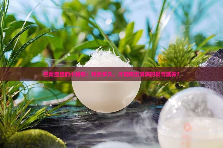燕窝盅里的小秘密：炖煮多久，才能炖出满满的爱与滋养？