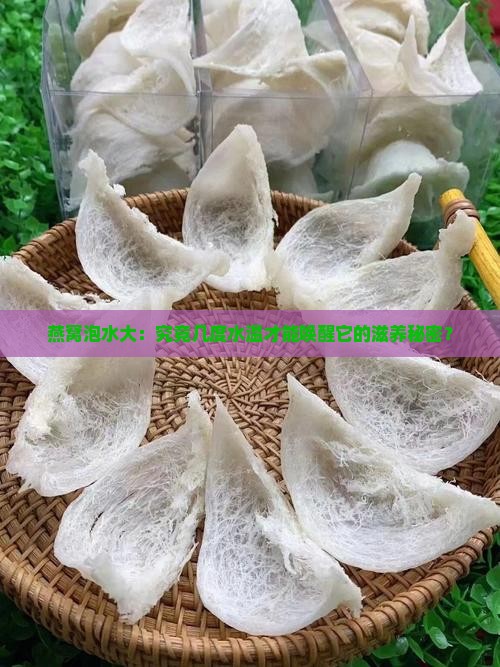 燕窝泡水大：究竟几度水温才能唤醒它的滋养秘密？