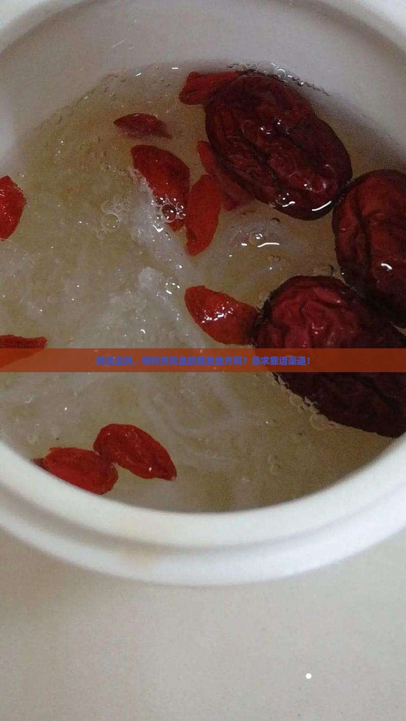 我是宝妈，哪有燕窝鱼胶批发地方啊？急求靠谱渠道！