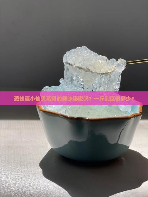想知道小仙贝燕窝的美味秘密吗？一斤到底值多少？